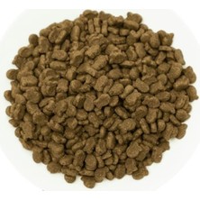 Aesco Sensitive, Yetişkin Hassas Köpekler Için, Hipoalerjenik, Balıklı ve Pirinçli Kuru Mama, 3 kg