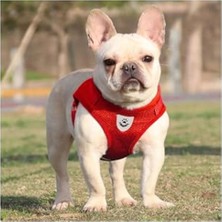 Aesco Floriashopping Köpekler ve Kediler Için Nefes Alabilen Reflektörlü Vücut Tasması Kırmızı M