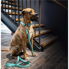 Aesco Max & Molly Urban Pets Matrix 2.0 Çok Fonksiyonlu Köpek Gezdirme Kayışı (Turkuaz, S)