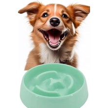 Aesco Yavaş Mama Kabı Kedi ve Köpek Için | Yavaş Besleyici Mama Tabağı | Anti-Tıkanma, Kaymaz Taban | 375 ml (Turkuaz)