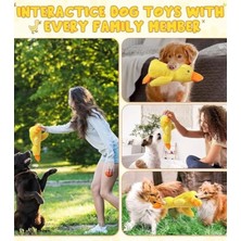 Duffa Peluş Hışırtılı ve Sesli Köpek Oyuncağı Ördek Peluş Köpek Oyuncağı Kedi Oyuncağı
