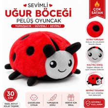 Admay Sevimli Uğur Böceği Peluş Oyuncak 30 cm – Ultra Yumuşak Çocuk Oyuncağı, Hediye Seçeneği