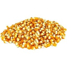 Aesco Patlak Mısır Popcorn Cin Mısır Tohumu 50 Adet Tohum