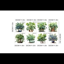 Nemere Tropikal Bitkiler Duvar Stickerı Model A