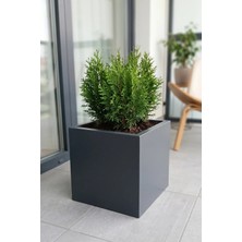 Desen Dekorasyon Zenith 30 cm Kare Küp Metal Saksı - Iç & Dış Mekan Modern Dekoratif Saksılık (30X30X30 Cm)