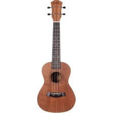 Aesco PS-S100-23A Concert Ukulele (Natural)