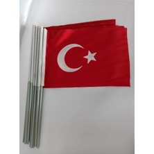 Aesco Lona Sanat Türk Bayrağı 20X30 Alpaka Kumaş Sopalı (20LI)