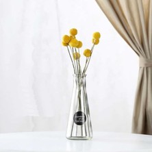 Aesco Bakgelal Şeffaf Simple Cam Vazo – Modern ve Minimalist Tasarımla Ferah Alanlar Için Şık Seçim, Anneler Günü Hediyesi