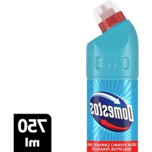 Aesco Domestos Okaliptüs Ferahlığı Yoğun Kıvamlı Çamaşır Suyu (1 x 750 Ml)