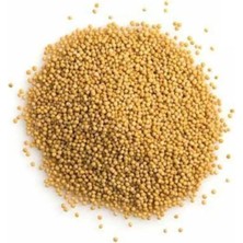 Depposite Hardal Tane 500 Gr.