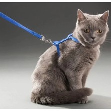 Nemere Ithalat Kedi Boyun ve Göğüs Tasması