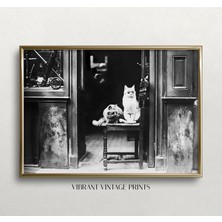 Ninastore Güneş Gözlüğü Takmış Kediler - Siyah Beyaz Sanat - Vintage Duvar Sanatı - Kedi Duvar Sanatı - Paris