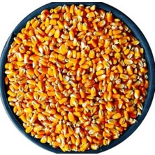 Aesco Mısır 2kg Tavuk Yemi Yemlik Mısır Kanatlı Yemi Kaz Ördek Yemi Kuş Yemi
