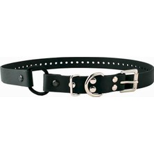 Aesco Bungee Köpek Tasması, Biyothane, Su Geçirmez, Kokusuz, Metal Toka ve D Halka, Konforlu Halka ile Kişiye Özel Uyum Için Ayarlanabilir, 3/4 Inç, Siyah
