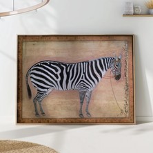 Ninastore Zebra Safari Sanat Baskısı - Egzotik Hayvan Duvar Dekoru - Vintage Illüstrasyon - Bohem Ev