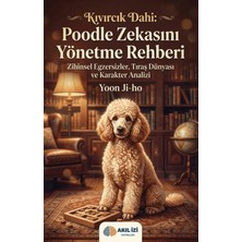 Akıl İzi Yayınları Kıvırcık Dahi