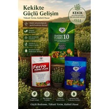 Turkoz Agro Kekik Yetiştirme Seti