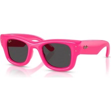 Ray-Ban RB4940 683287 47 A$ap Rocky Unisex Güneş Gözlüğü