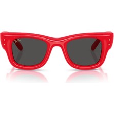 Ray-Ban RB4940 683187 47 A$ap Rocky Unisex Güneş Gözlüğü