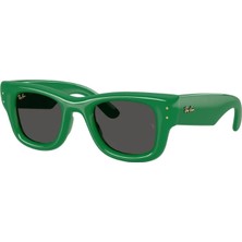 Ray-Ban RB4940 683487 47 A$ap Rocky Unisex Güneş Gözlüğü