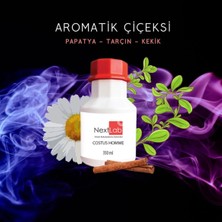 Nextlab Costus Homme Ortam Kokusu 350 ml - Aromatik ve Çiçeksi (Papatya, Tarçın, Kekik)