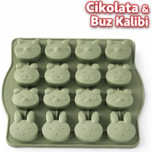 Evolis Kitchen 1 Adet Mint Yeşili 16’lı Isıya Dayanıklı Yanmaz Yapışmaz  Silikon Çikolata Buz Kalıbı