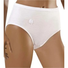 Şahin 6 Lı Paket Kadın Penye Bato Slip Külot 30500