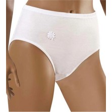 Şahin 6 Lı Paket Kadın Penye Bato Slip Külot 30500