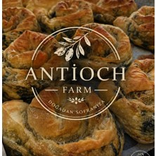 Antioch Farm Antioch  Farm El Yapımı Ispanaklı Gül Böreği 10 Adet