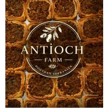 Antioch Farm Yöresel Kaytaz Böreği 6 Adet