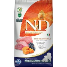 N&D Kuzu Etli Balkabaklı Tahılsız Yavru Köpek Maması 2.5 Kg Süper Premium Besin Değeri