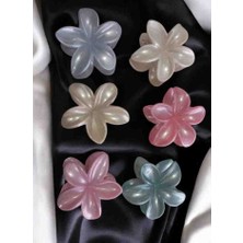 Tokacım43 City Vision 6 Adet Simli Lotus Kadın Toka Seti Büyük Boy 8 cm Çok Renkli Kristal Plastik Malzeme ile Şık Tasarım