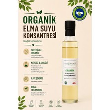 Soul Kitchen Organik Elma Suyu Konsantresi 300 gr (Tatlandırıcı)
