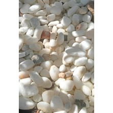 Beyaz Dekoratif Doğal Çakıl Taşı 1-2 cm 1 kg Saksı Üstü Bahçe Akvaryum Süsü Dolomit Taş