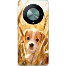 Le Balvo Honor X9B Uyumlu Golden Köpek Baskılı Silikon Kılıf
