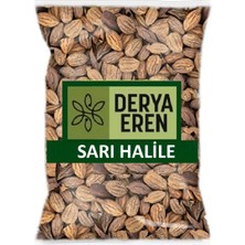Sarı Halile Sarıhalile (Terminalia Chebula) 500GR, Derya Eren