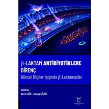 Akademisyen Kitabevi Β-Laktam Antibiyotiklere Direnç Güncel Bilgiler Işığında Β-Laktamazlar
