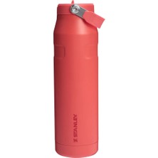 Stanley The Iceflow Flip Straw Pipetli Termos Bardak