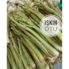 Sebze Meyve Dünyası Işkın Otu (500 gr )