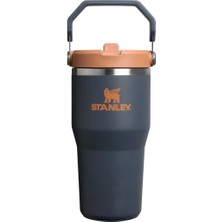Stanley Iceflow Flip Straw Tumbler Pipetli Termos