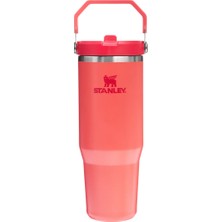 Stanley Iceflow Flip Straw Tumbler Pipetli Termos