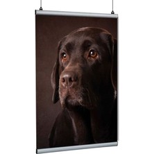 Arte Display Poster Tutucu Clamp 21CM 10LU Paket