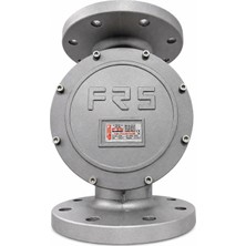 Frs DN100 Flanşlı Doğalgaz Filtresi (4")