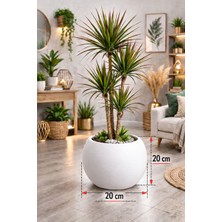 Can Botanik Küre Saksı Beyaz Saksı Yuvarlak Saksı 20CM Saksı Salon Saksı