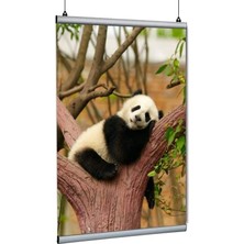 Arte Display Poster Tutucu Clamp 60CM 10LU Paket