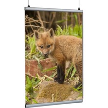 Arte Display Poster Tutucu Clamp 50CM 10LU Paket
