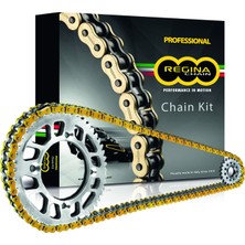 Regina Chain Ducati Multistrada 1200ENDURO 16-18 Kiti