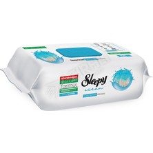 Sleepy Yüzey Temizlik Havlusu Okyanus Ferahlığı 100'LÜ