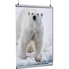 Arte Display Poster Tutucu Clamp 85CM 2li Paket