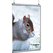 Arte Display Poster Tutucu Clamp 100CM 2li Paket